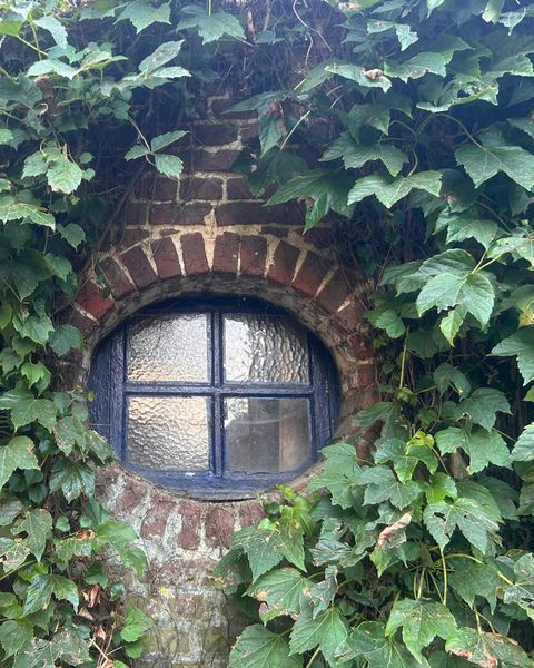Un œil-de-bœuf aux vitres anciennes, pris dans le lierre